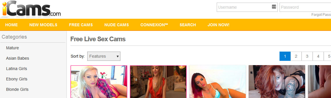 iCams.com